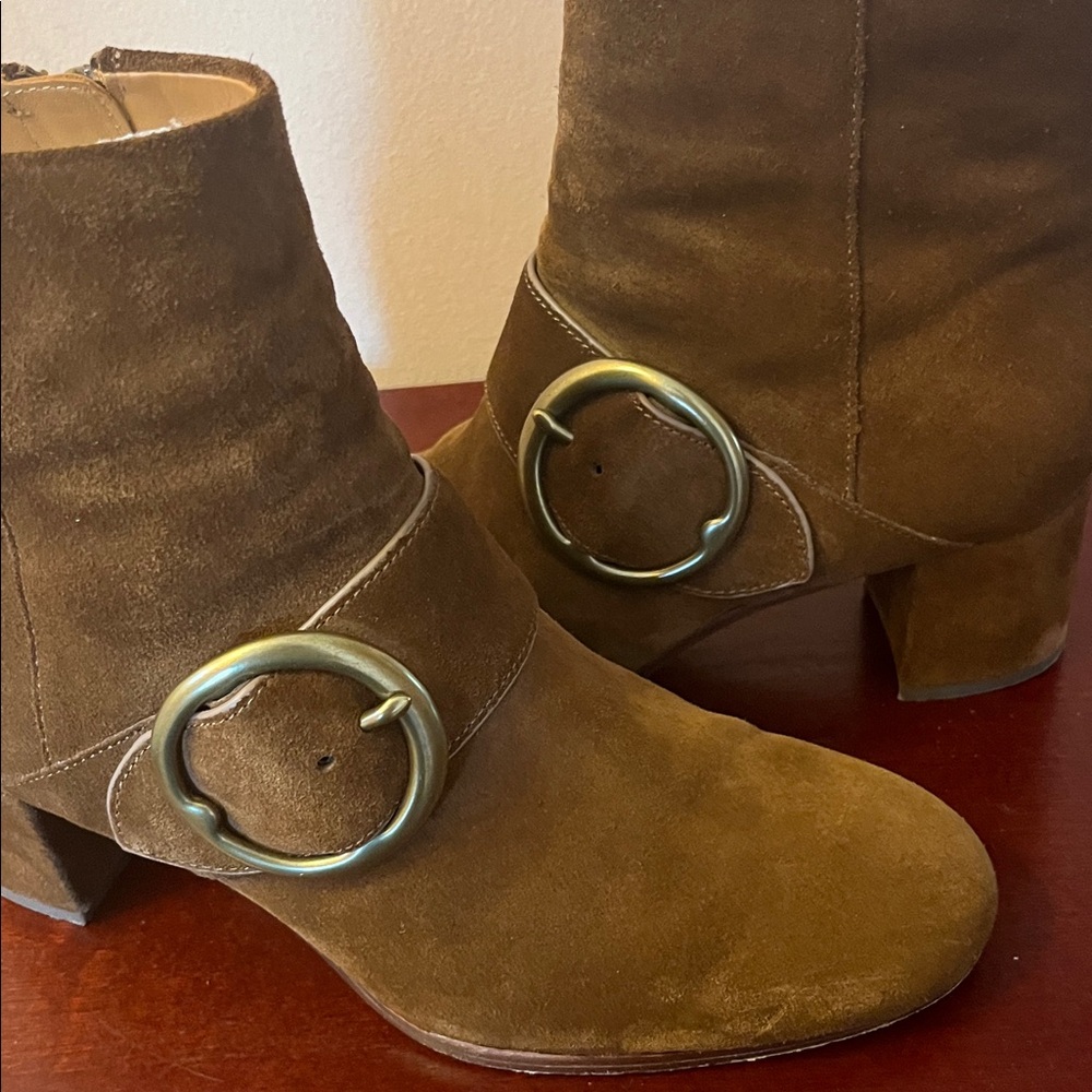 Maddie Suede Buckled Booties by Polo Ralph Lauren - Picture 8 of 11